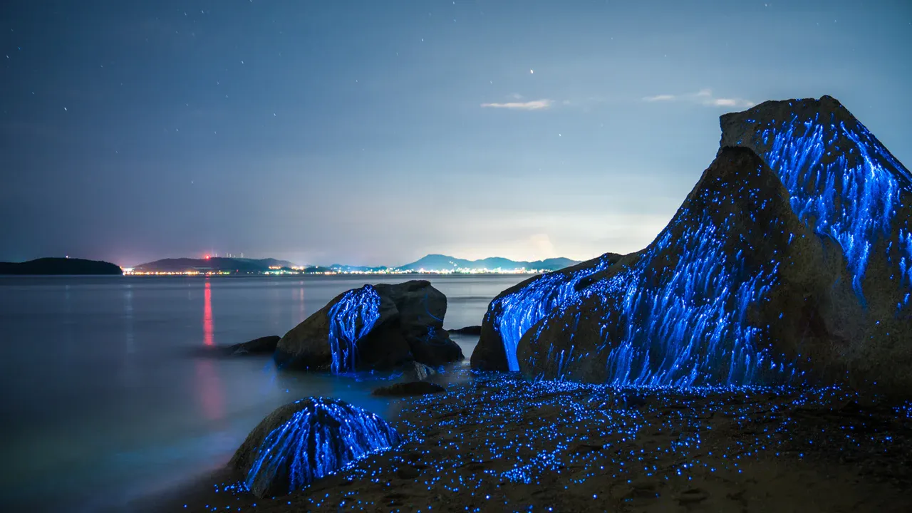 Bioluminescent Rocks- Most Beautiful Places in Japan to Visit!