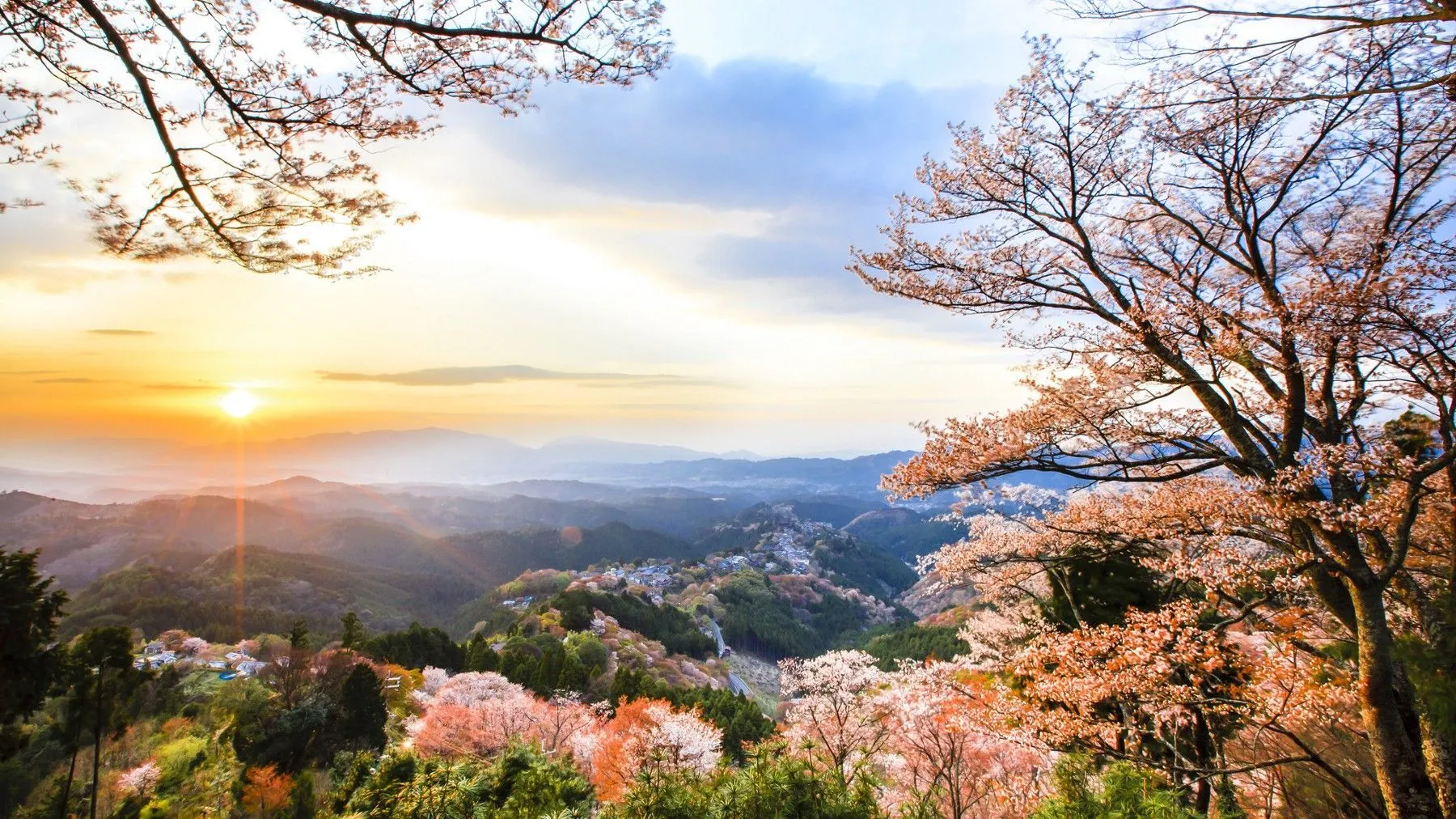 Mt. Yoshino- Most Beautiful Places in Japan to Visit!