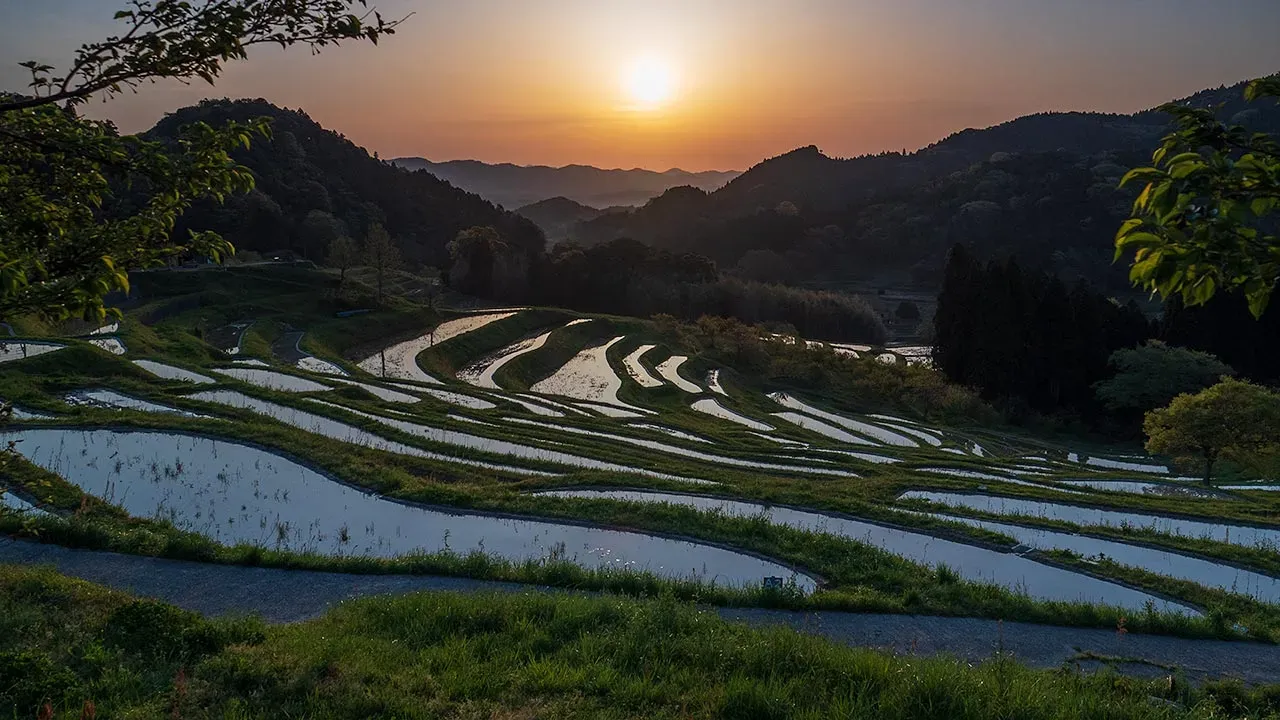 Oyama Rice Terrace- most beautiful places in Japan