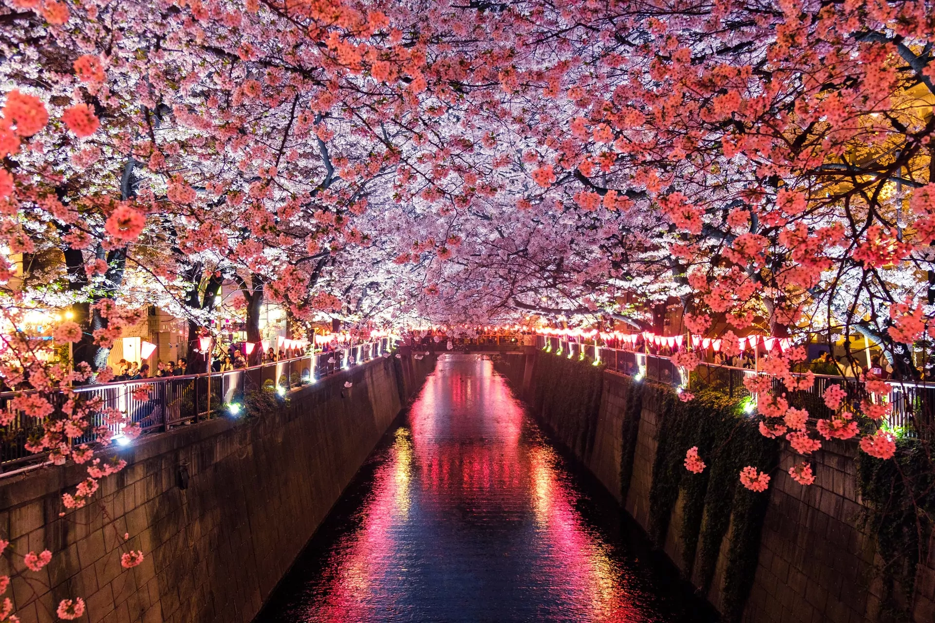 Meguro River- Most Beautiful Places in Japan to Visit!